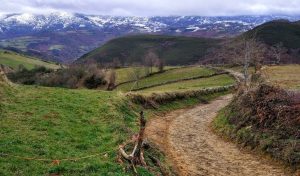 Camino Santiago tierra