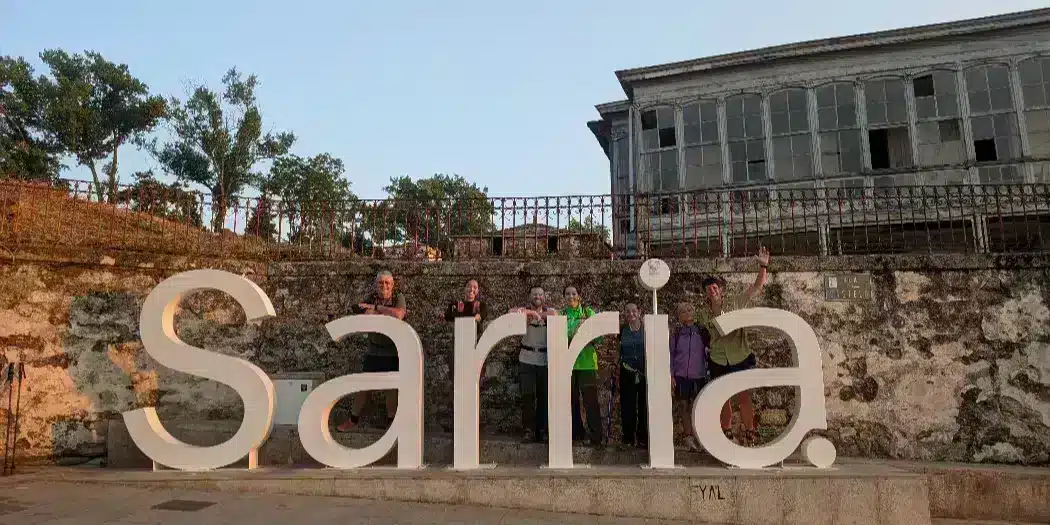 francés (3)