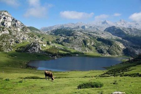 Asturias Camino del NorteGaliWonders